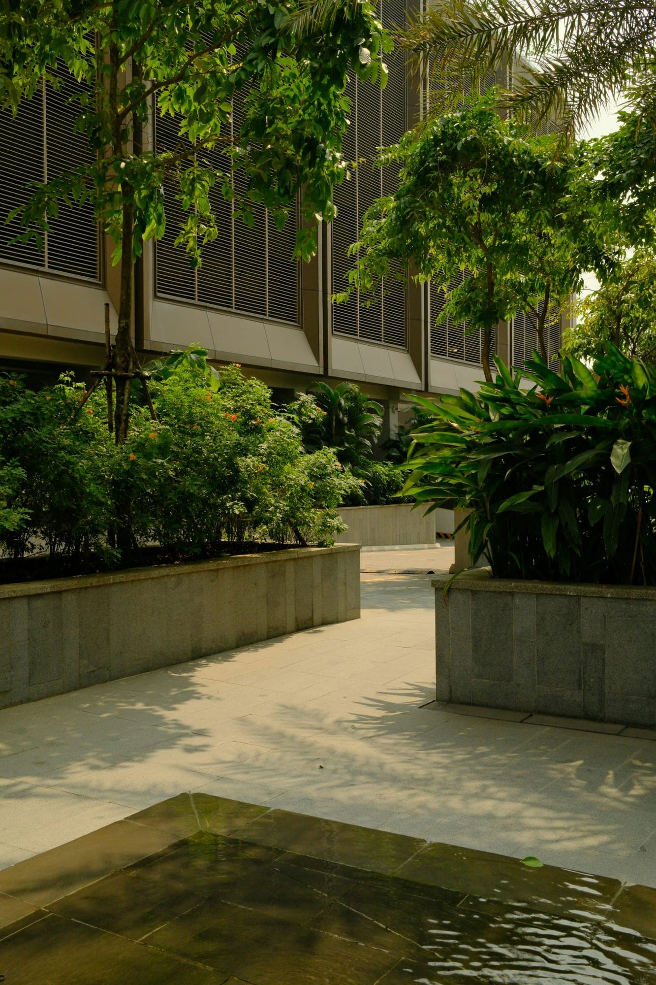 Photorealistic rendered walkway with lush tropical planting and a reflecting pool