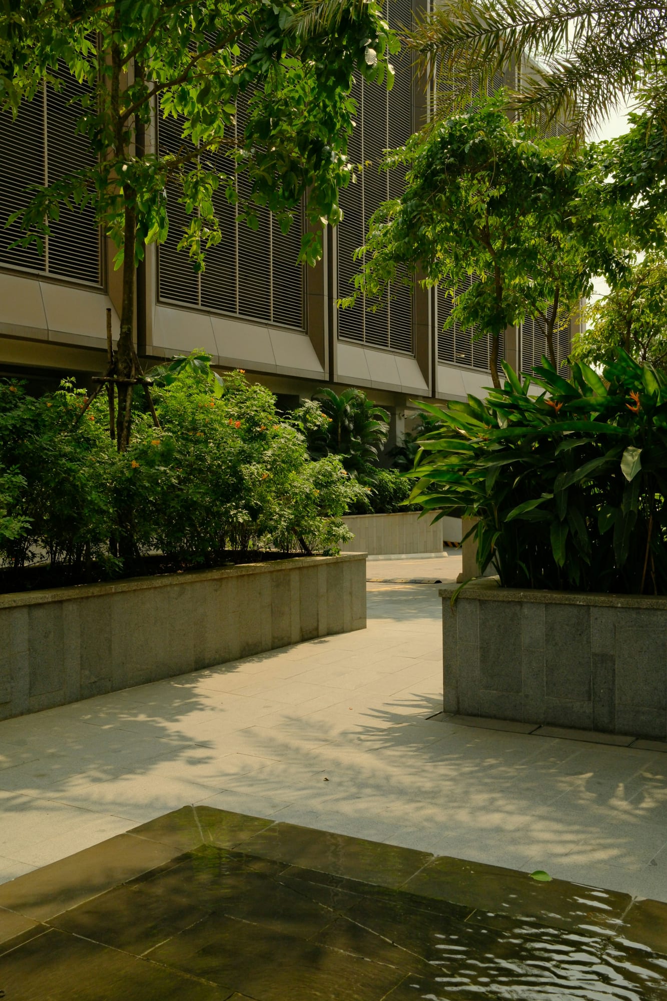 Professionally landscaped walkway with lush tropical planting beside a modern building